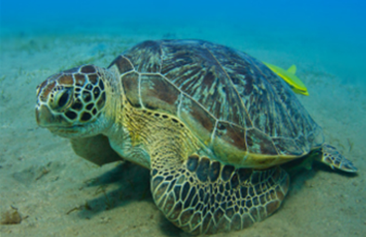 울진 아쿠아리움