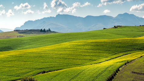 신청 자격 요건은?