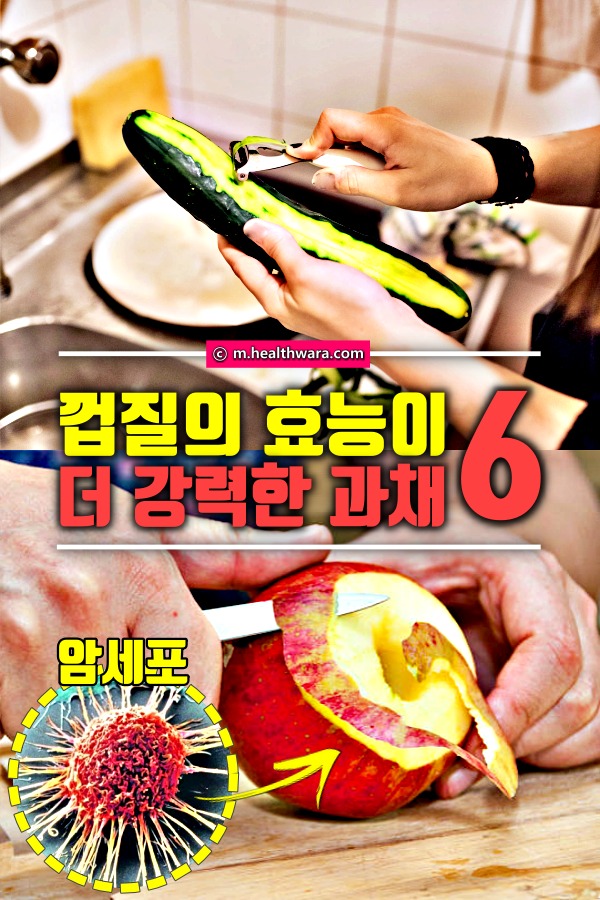 껍질 효능 보약 영양제,팁줌