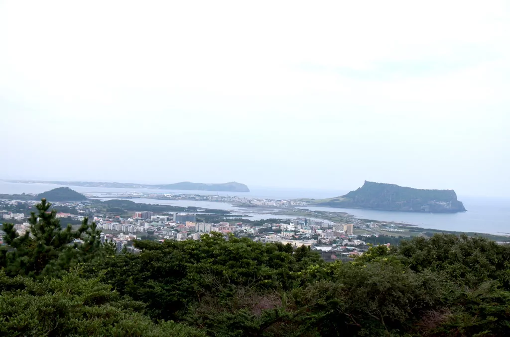 대수산봉에서 바라본 성산일출봉과 우도의 지형적 전경