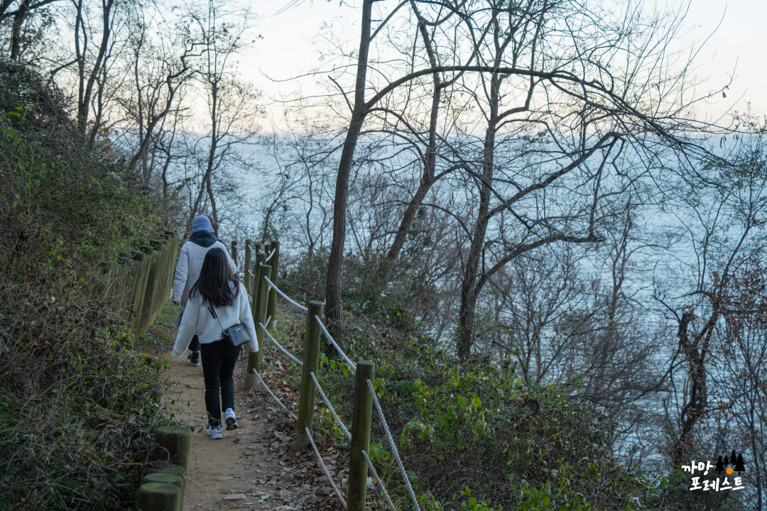 안산 구봉도 대부해솔길