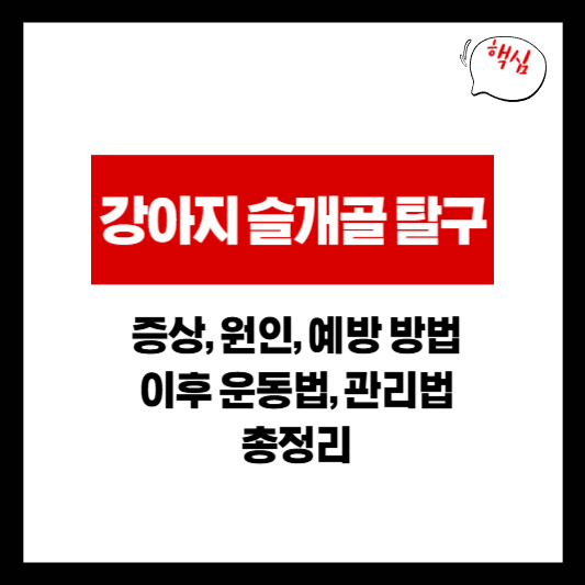 강아지 슬개골 탈구 증상, 원인