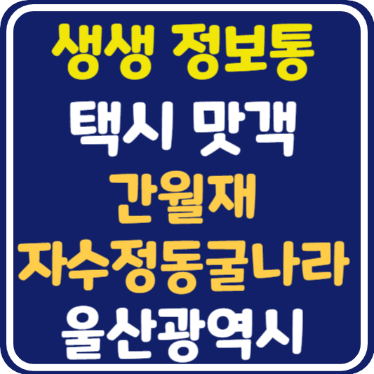 생생 정보통 울산 간월재, 자수정동굴나라 정보 안내 : 택시 맛객
