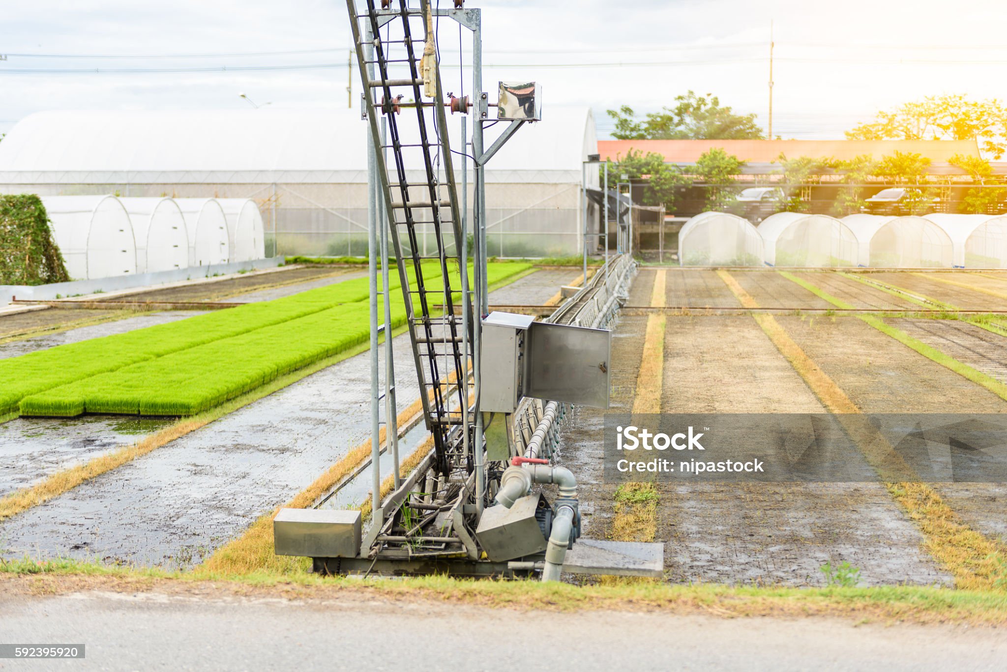 스마트팜 창업운영
