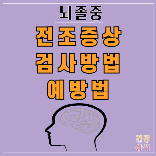 뇌졸중 전조증상 검사방법 예방법