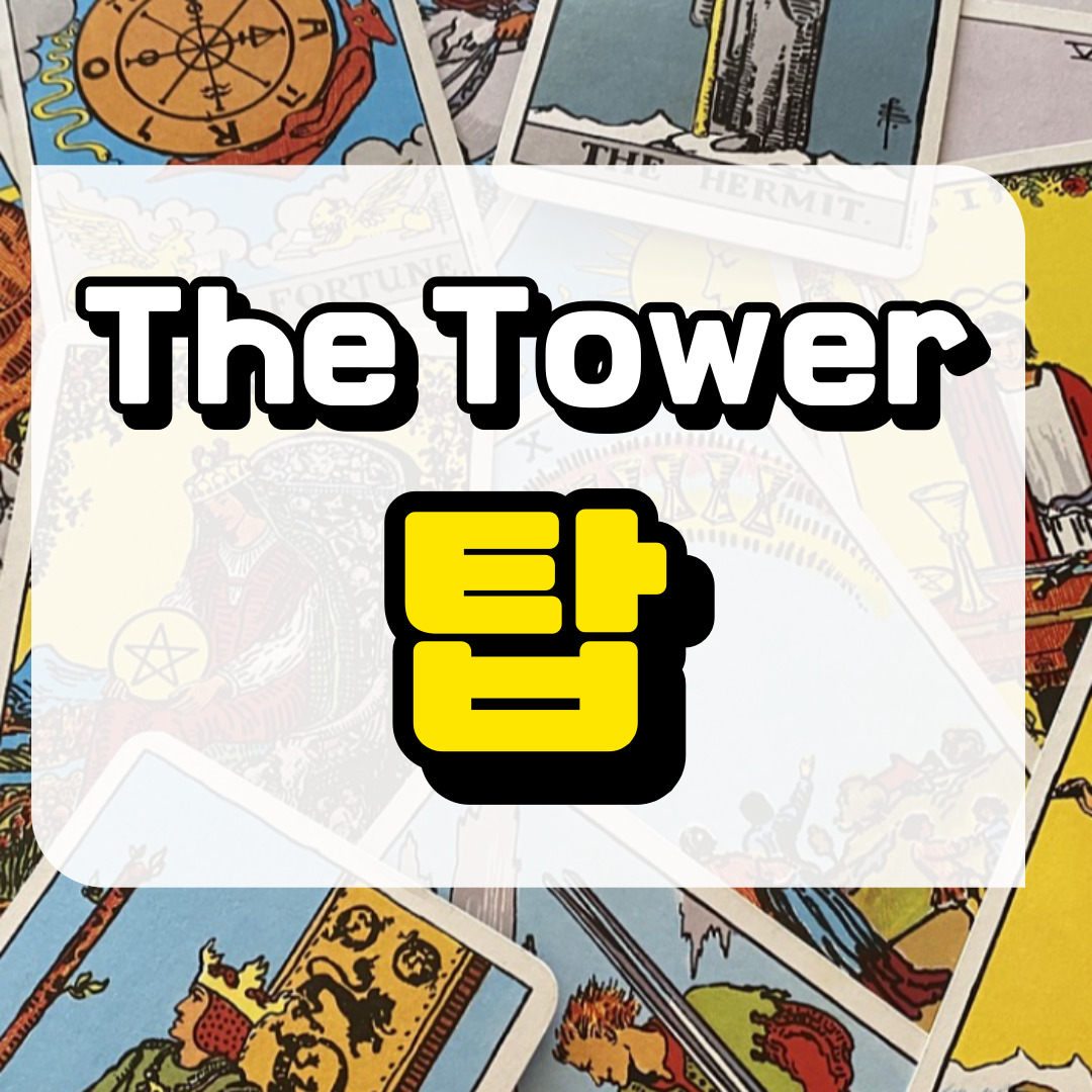 탑카드 의미와 해석에 관련된 사진