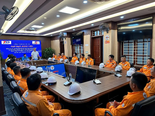 Tổng công ty Điện lực Việt Nam