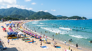 현지인도 인정한 부산 핫플레이스! 지금 가장 인기 많은 여행지 추천