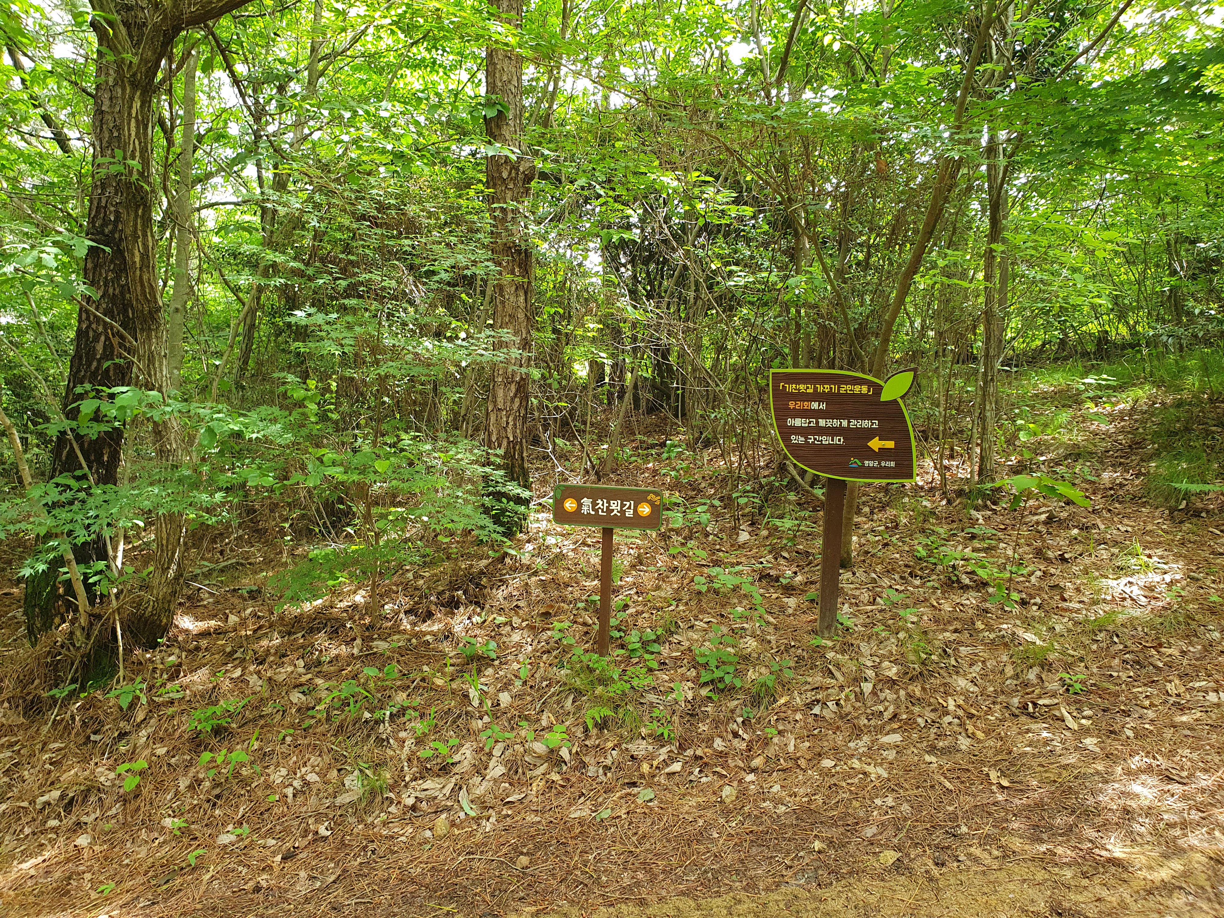 월출산 등산코스 난이도