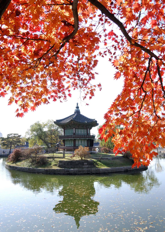 서울 단풍명소 BEST 07 데이트 코스 가족 나들이