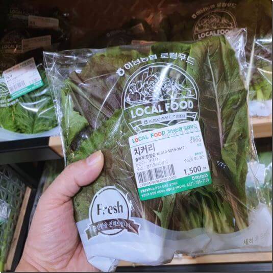 눈 건강에 좋은 치커리 잎