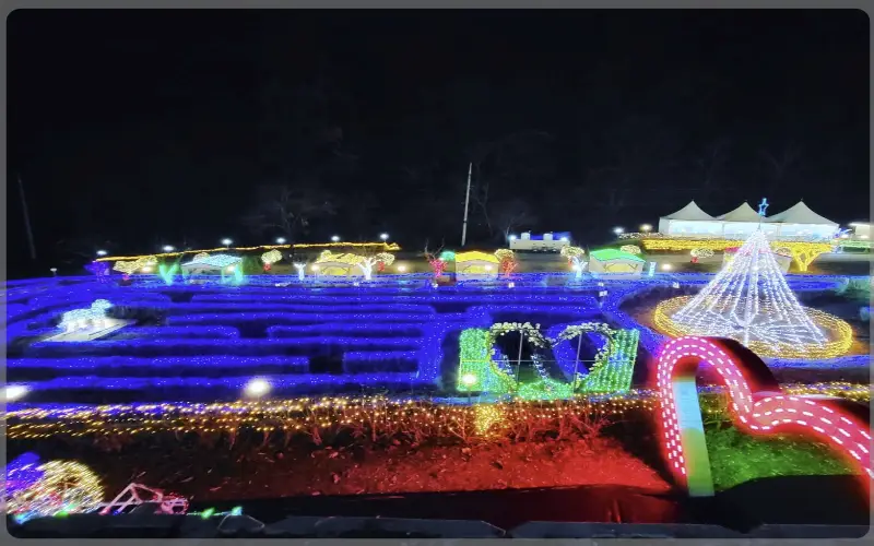 고니골 빛축제_1