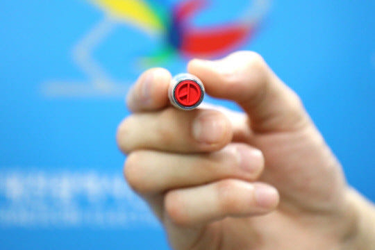 6월 3일 대선 확정