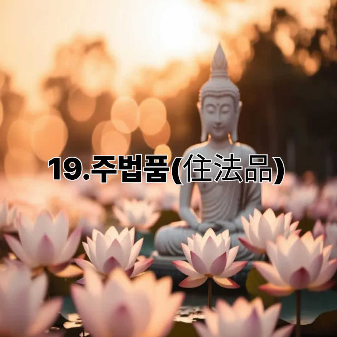 住法品(주법품)
