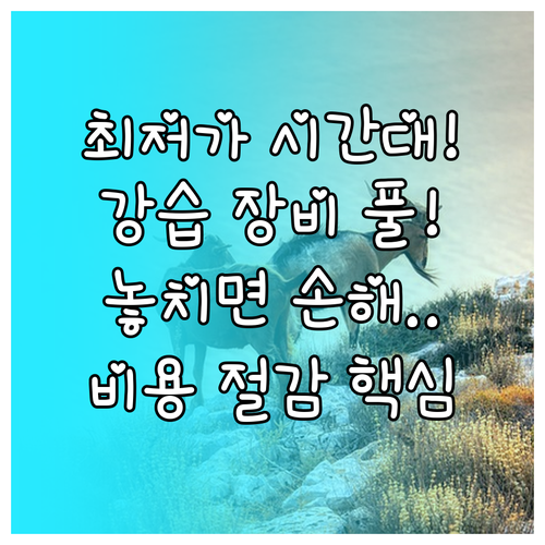 강습 장비 포함 스키 보드 패키지 최..