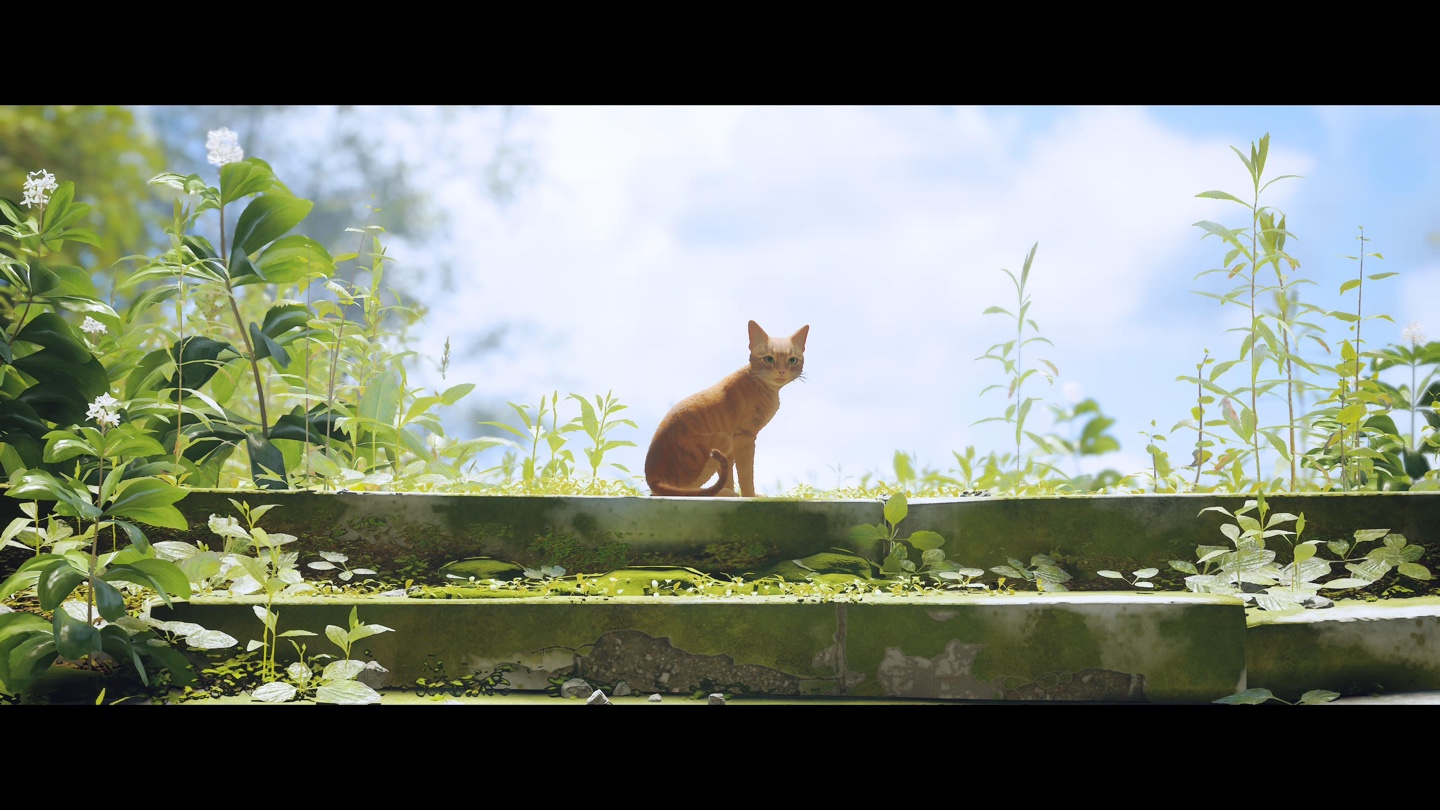 스트레이 게임 엔딩 사진