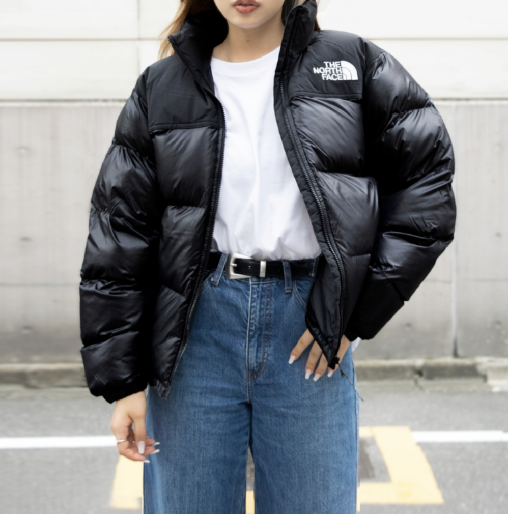 노스페이스 눕시