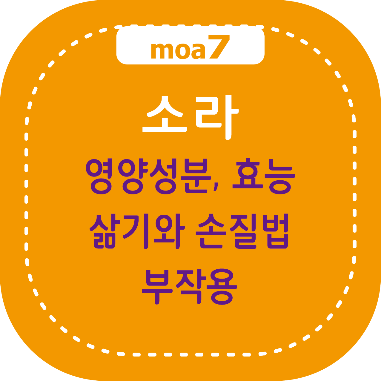 소라 영양성분, 효능, 삶기와 손질법, 부작용