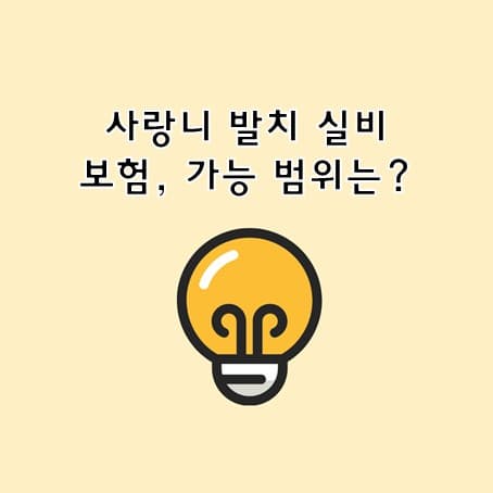 사랑니 발치 실비 보험, 가능 범위는?