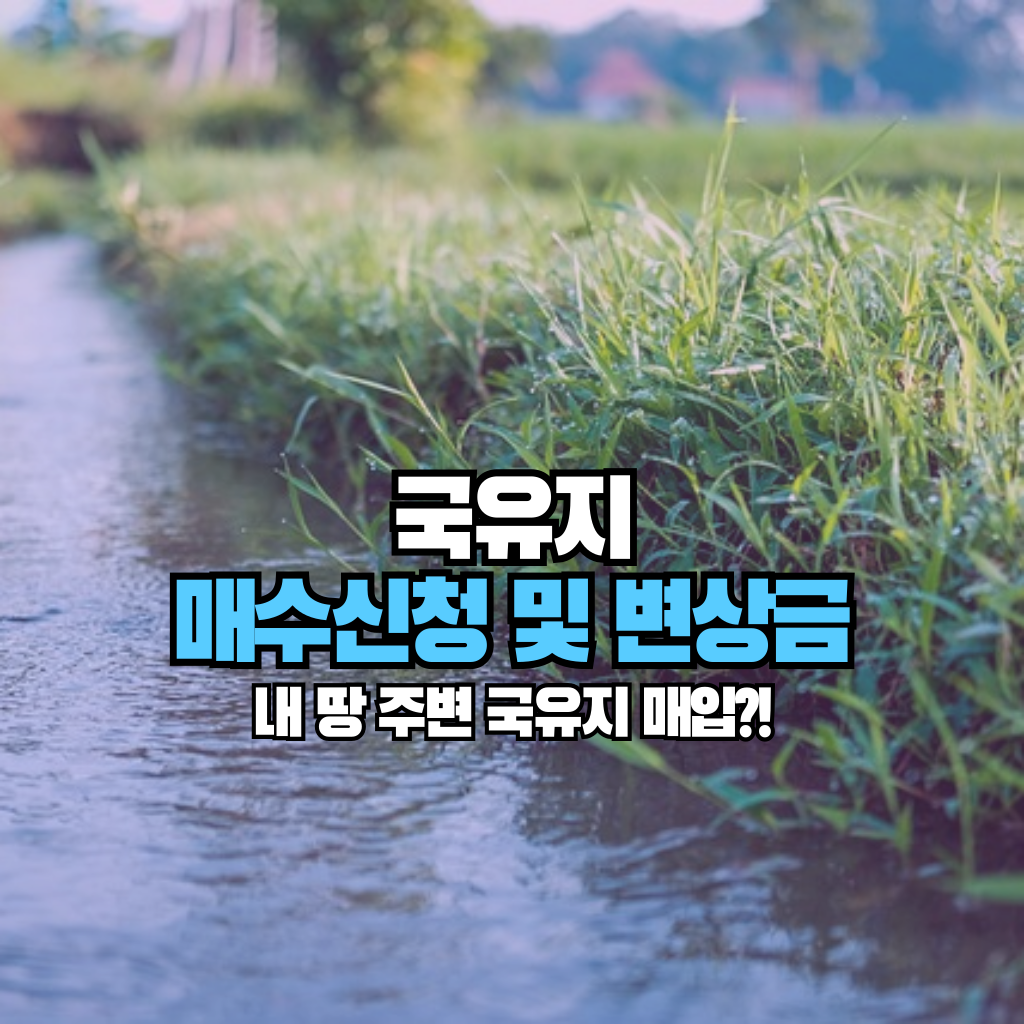 내 땅 주변 국유지 매입?!: 매수신청 및 변상금