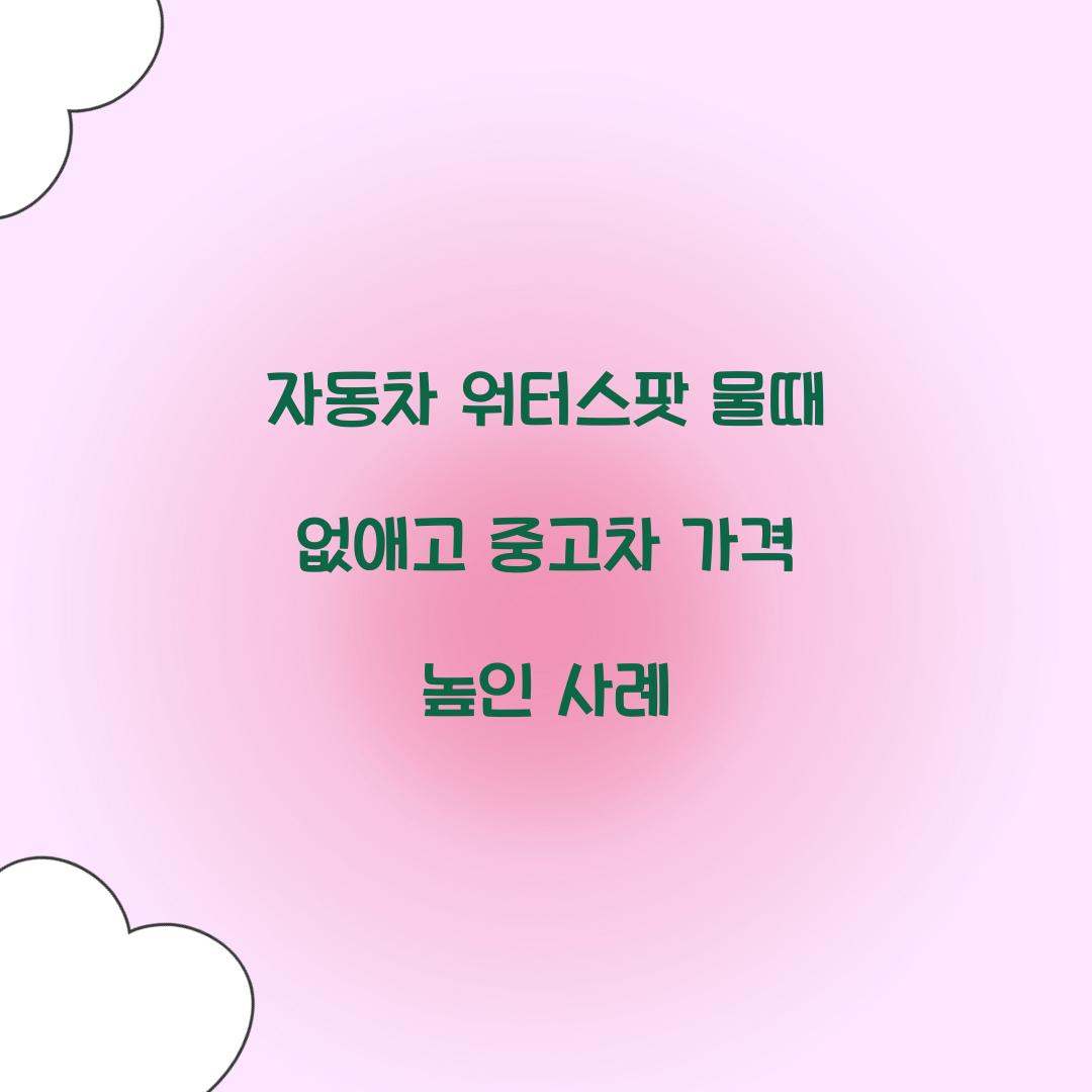 자동차 워터스팟 물때 없애고 중고차 가격 높인 사례  