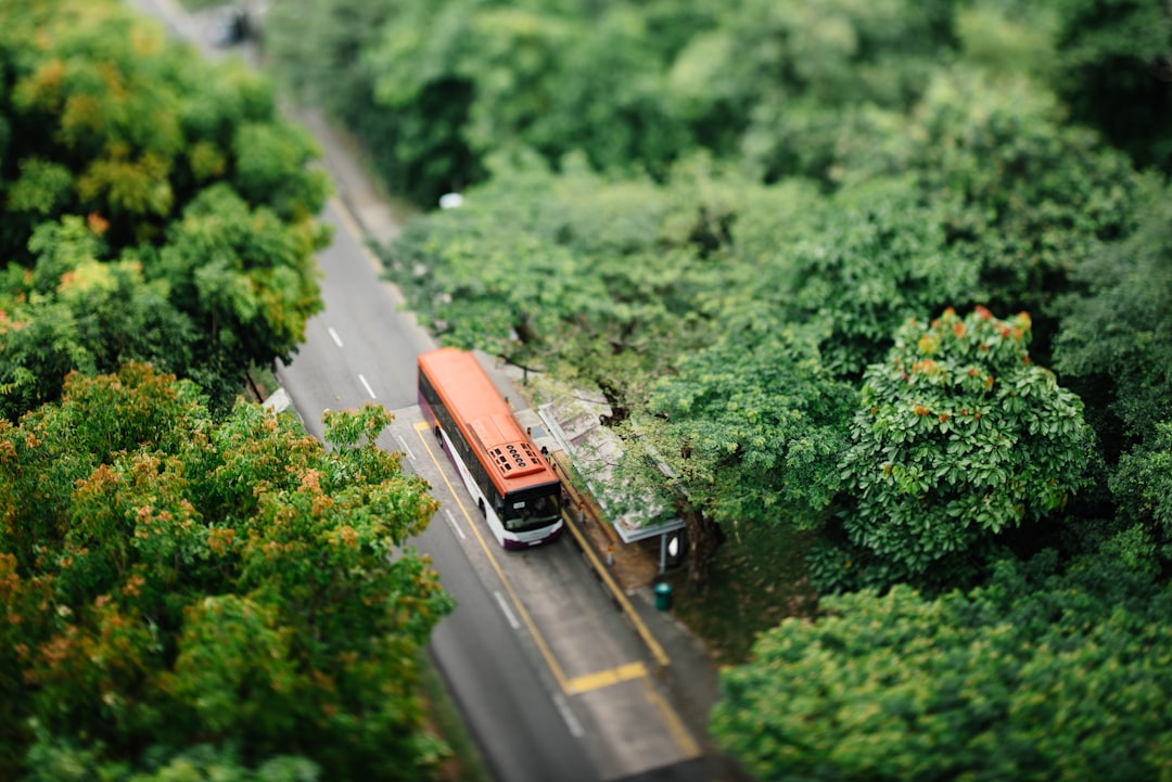 Bus.