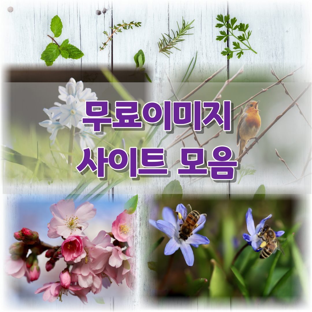 썸네일 무료 이미지 사이트 모음