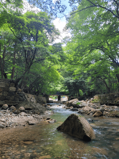 대흥사계곡