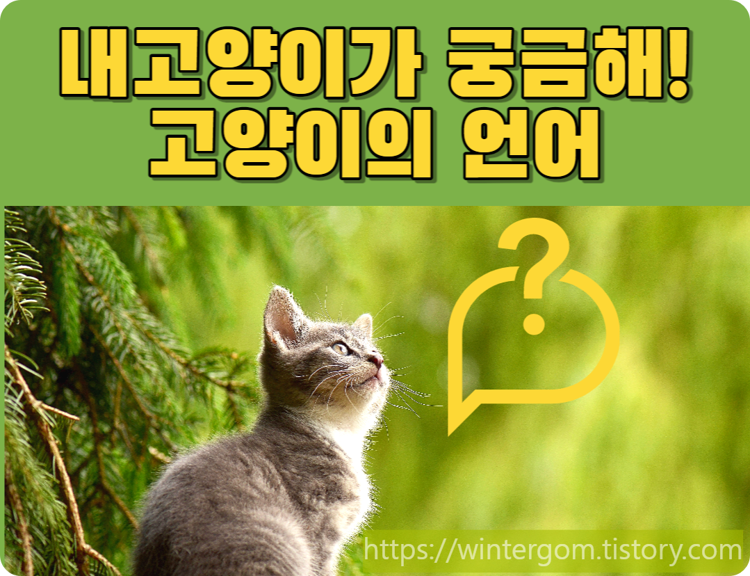 고양이의 의사소통 방법에 관해 설명하고 있다.