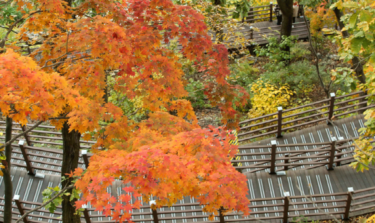 삼악산 호수케이블카