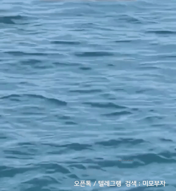 9월 25일 화 경제뉴스 부동산뉴스 신문스크랩