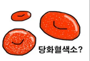 당화혈색소 정상치_11