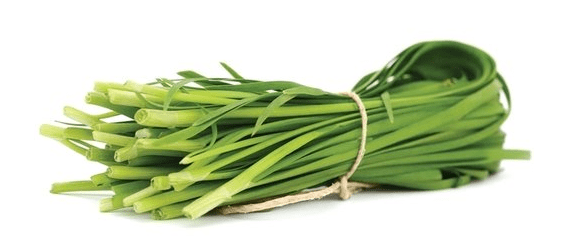 독소배출 채소 부추