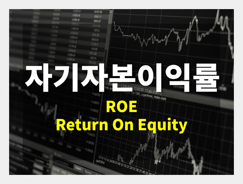 자기자본이익률(ROE, Return On Equity)