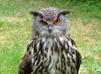 "첫인상은 3초면 결정된다"는 말의 심리학적 근거