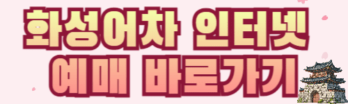 벚꽃 구경 준비! 2025년 벚꽃 개화시기와 국내 벚꽃 TOP 5