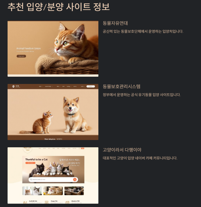 고양이 키우기: 초보집사를 위한 입분양부터 준비물 및 주의사항