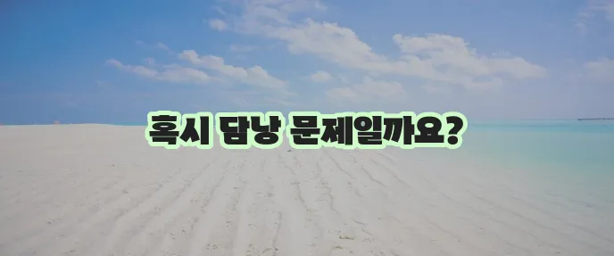 오른쪽 등 통증 원인이 궁금하지 않으세요?