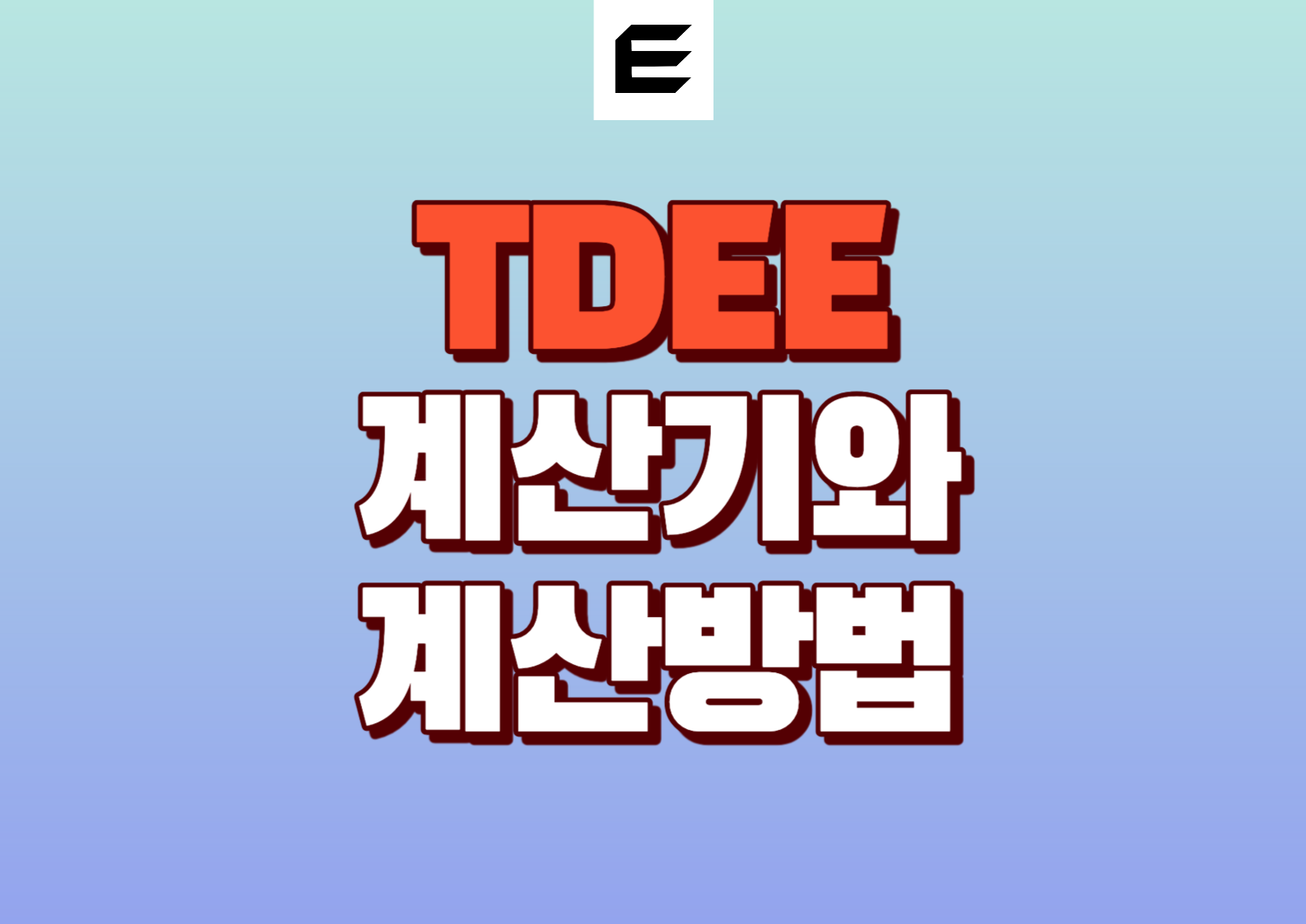 TDEE 계산