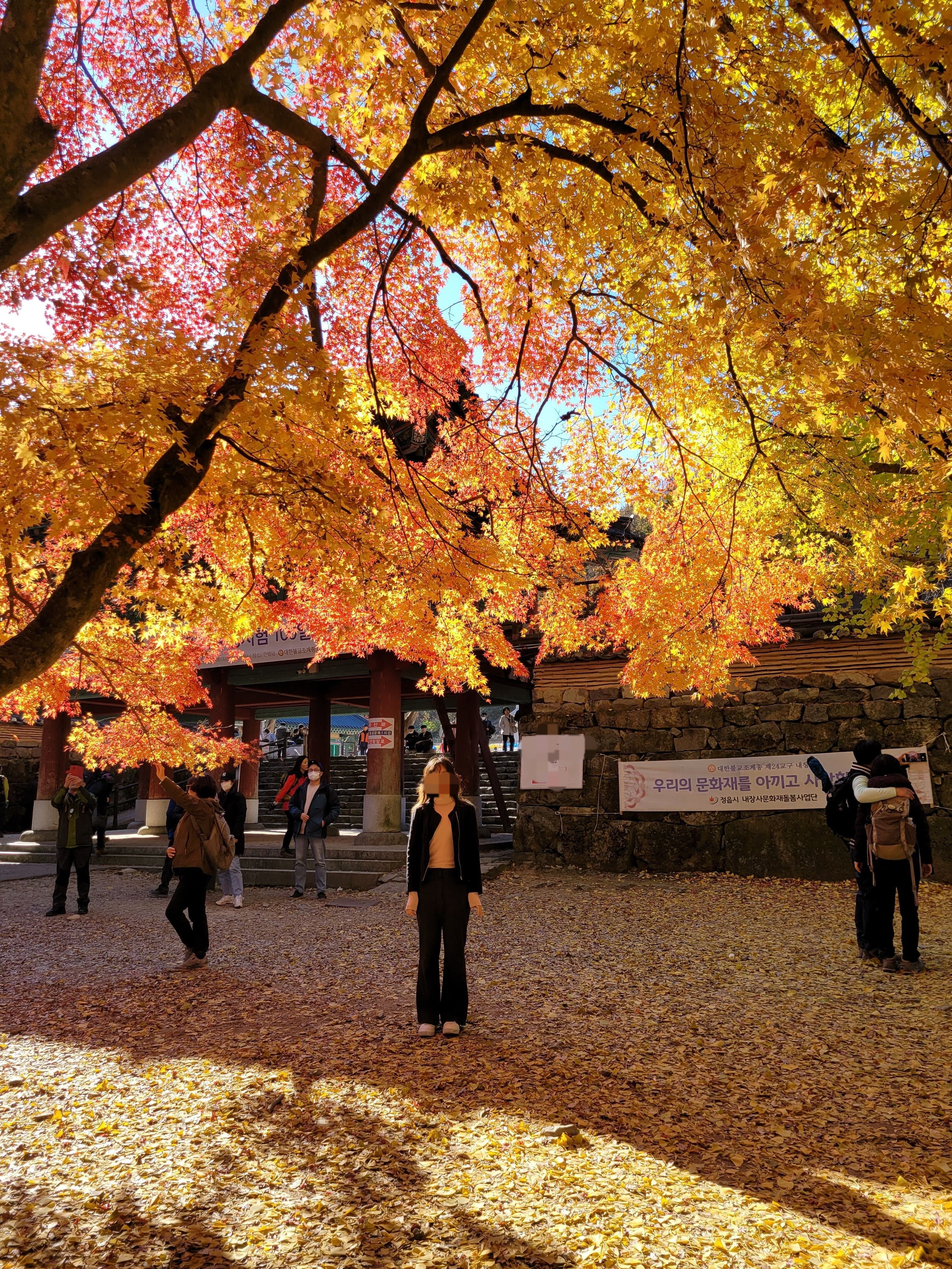단풍 명소 내장사