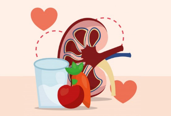 신장 영양제 성분 추천 (성분 주의사항 Tip)