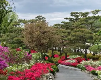 베어트리파크 철쭉축제 봄과 철쭉_17