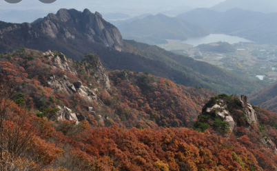 11월 단풍축제 가볼만한곳 BEST 10