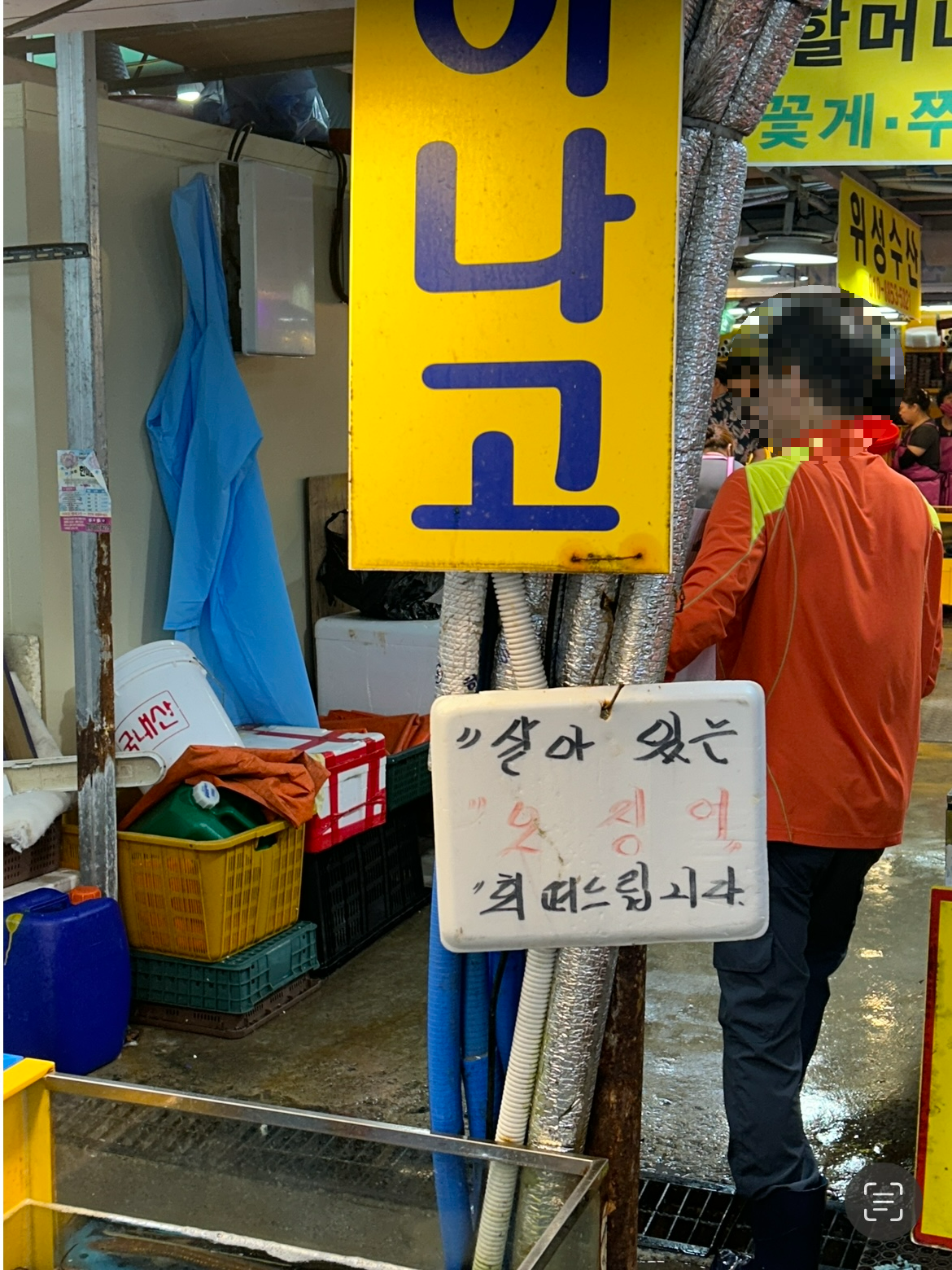 소래포구 아나고 오징어회