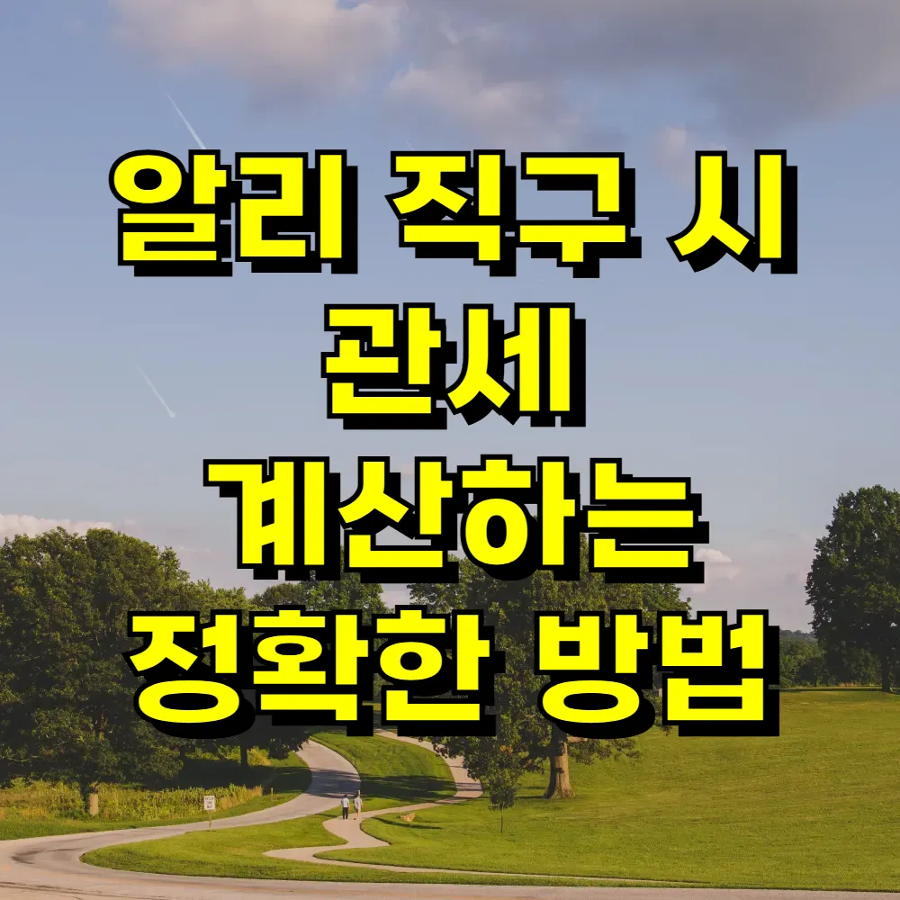 알리 직구 시 관세 계산하는 정확한 방법