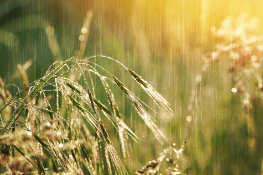 2025 장마 기간&amp;#44; 지역별 예상 일정