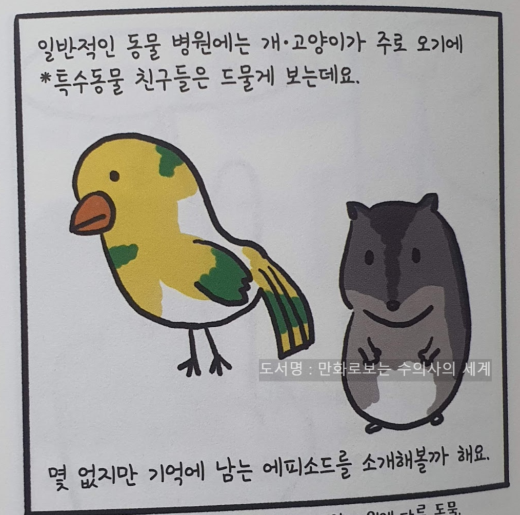 만화로 보는 수의사의 세계 - 특수동물