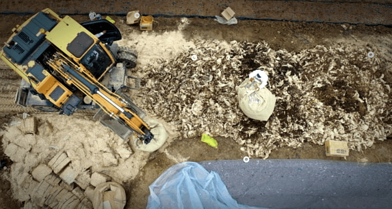 조류인플루엔자