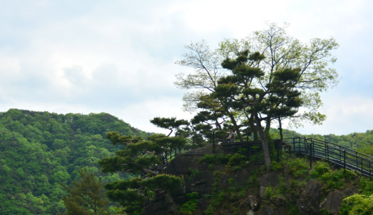옥천 수생식물학습원