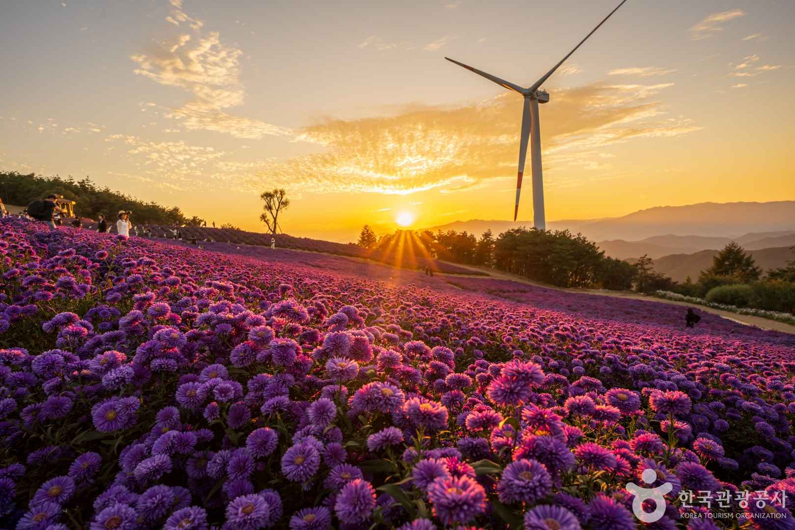 거창 감악산 별바람언덕